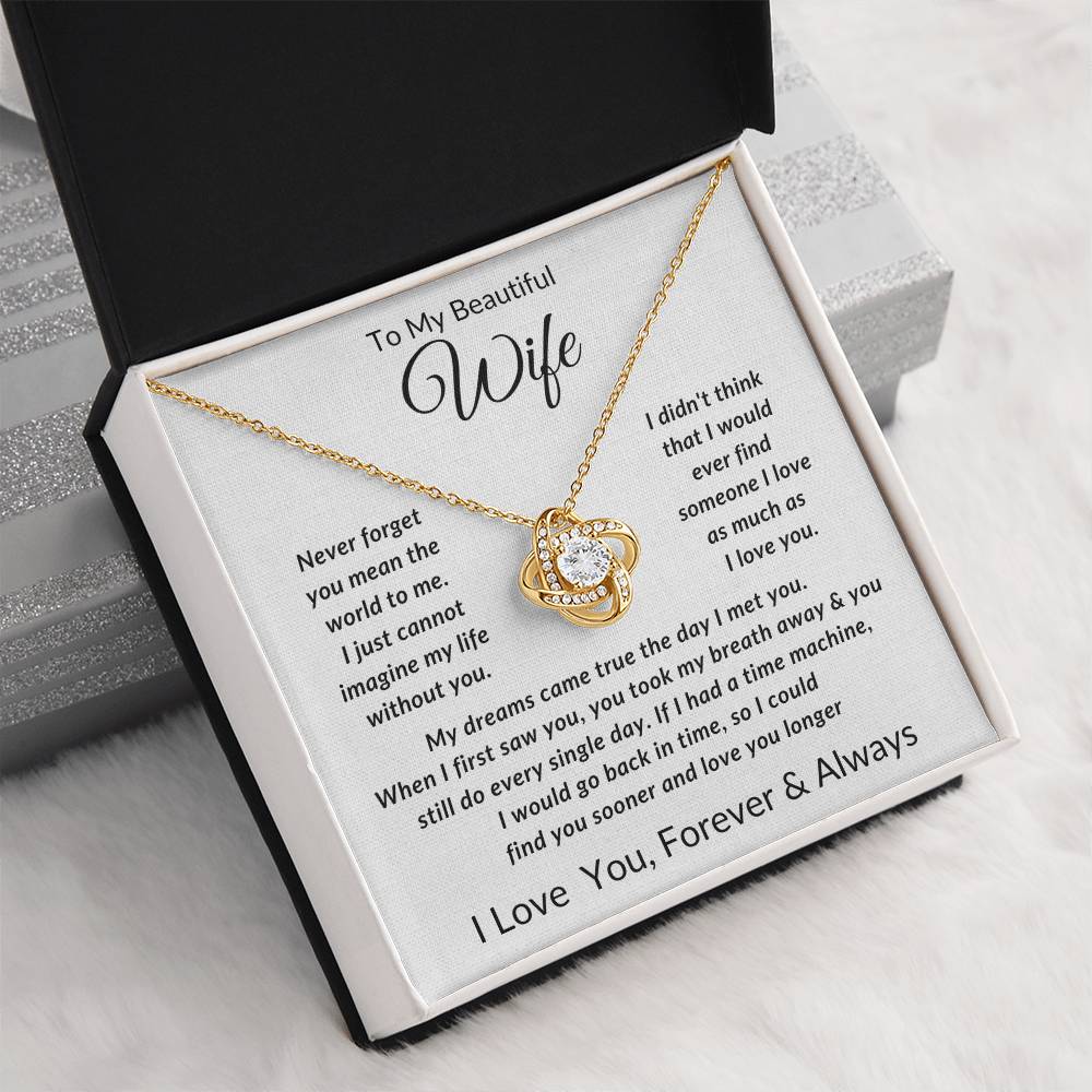 To My Wife-Never Forget You Mean The World to Me- Forever Together Necklace